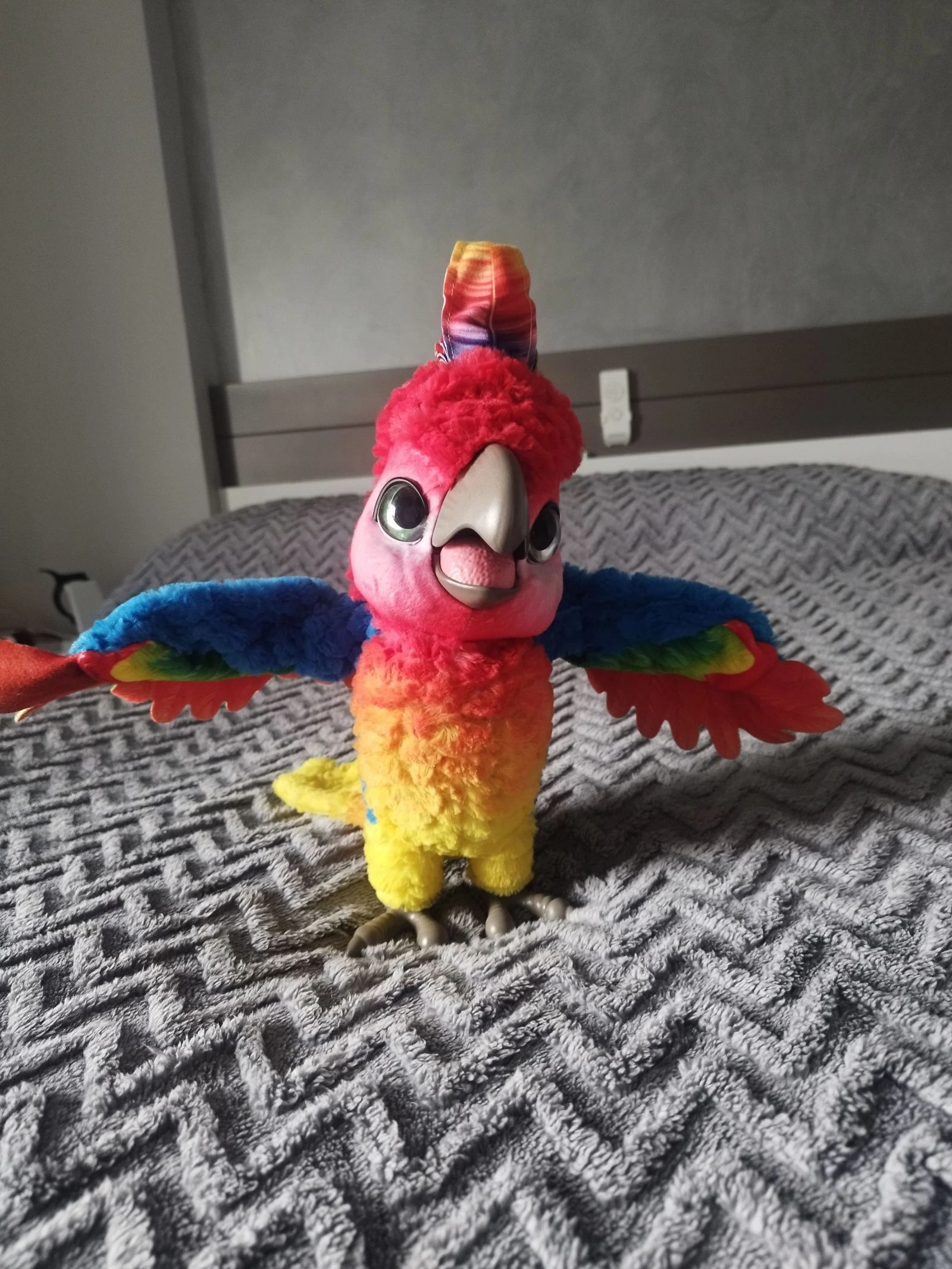 Lolo mi loro molón